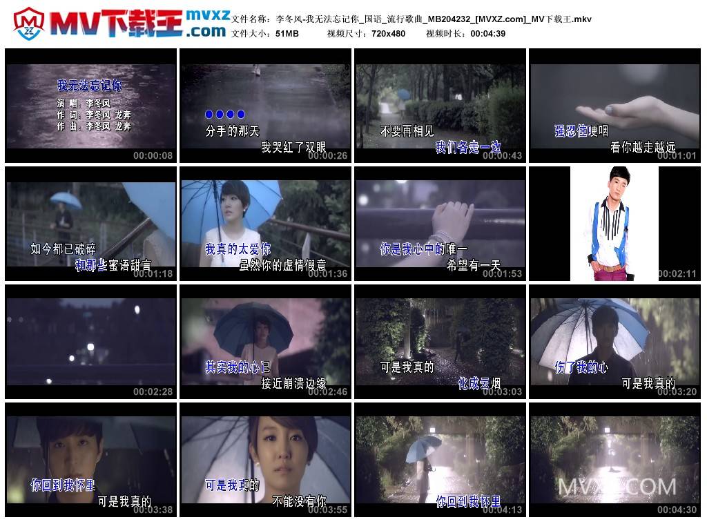 李冬风-我无法忘记你_国语_流行歌曲_MB204232